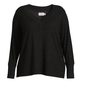 Terra & Sky Women's Plus Size Mixed Media V-Neck